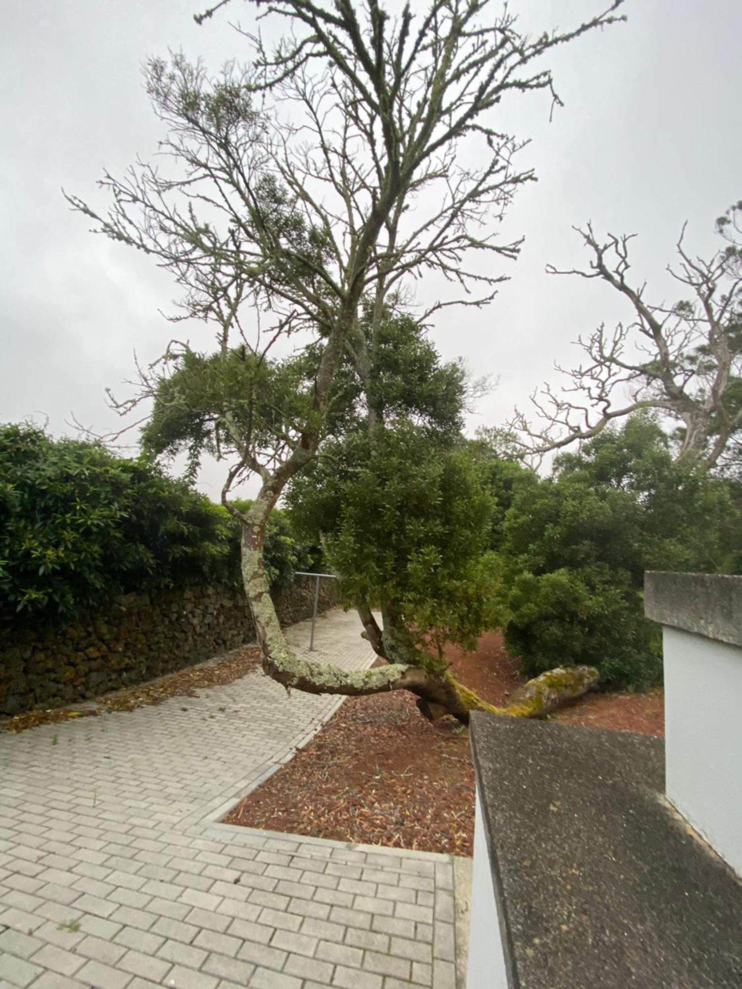 Casa Azul Terceira Island Azores Villa Fonte do Bustardo Exterior photo